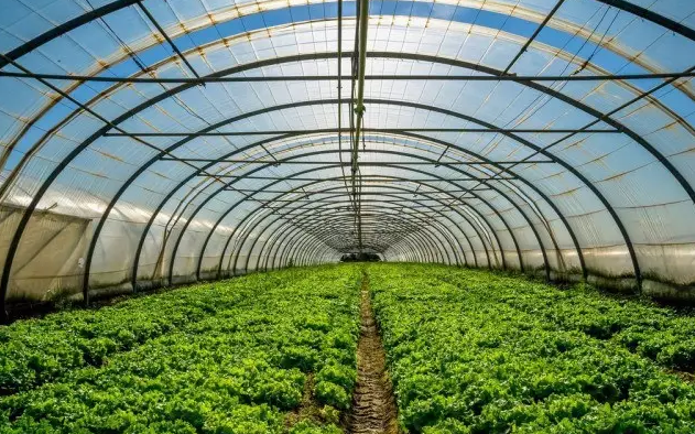 夏季温室大棚种植的雾化降温