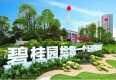 碧桂园集团