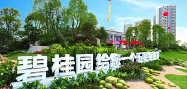 碧桂园集团